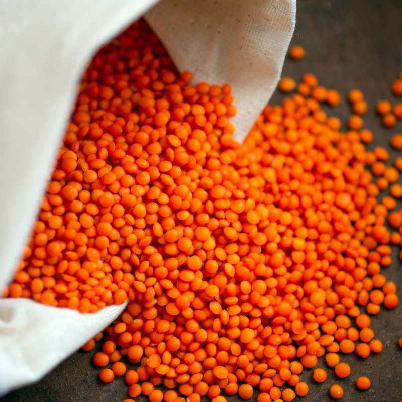 Lentils