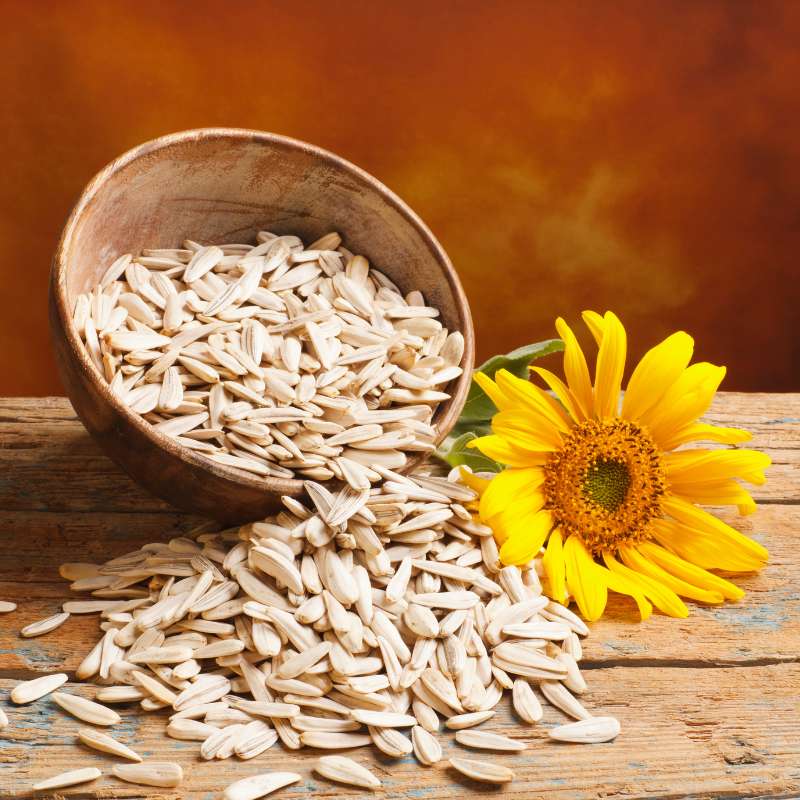 Sunflower Seeds